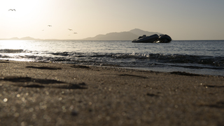 Золотий ранок