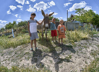 Дети и ослик