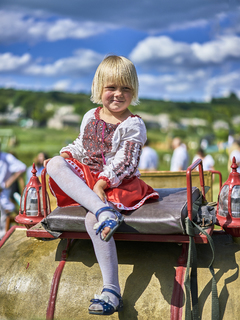 Высоко сижу