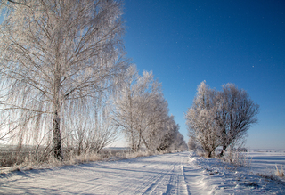 Зима-красуня.