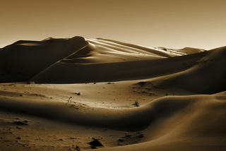 Golden Desert 2
