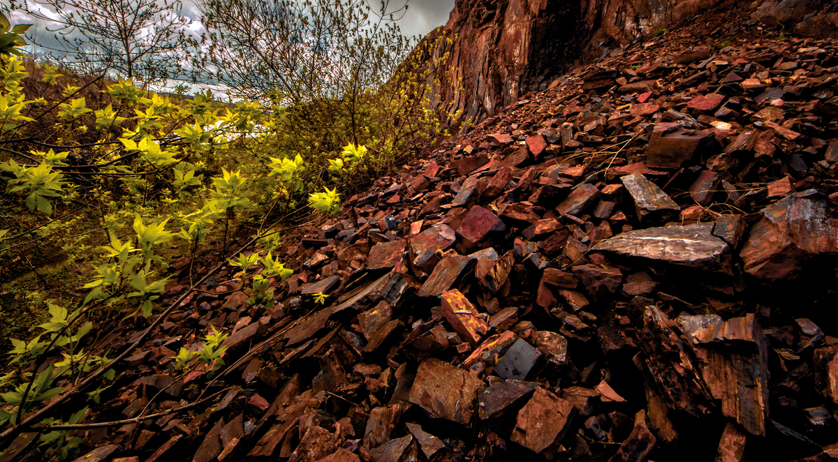  «Весна в Кривбасі»