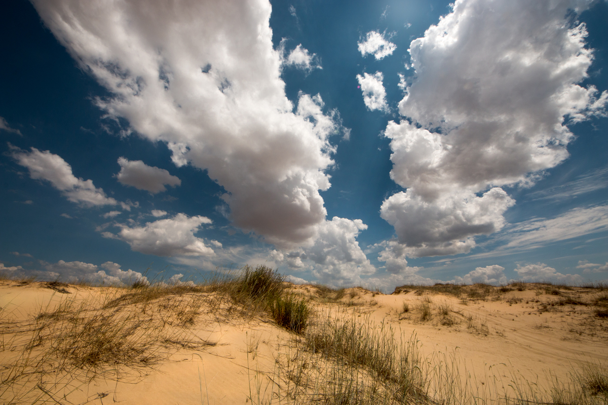 Олешковские пески
