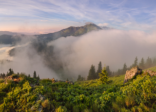 Туманний ранок