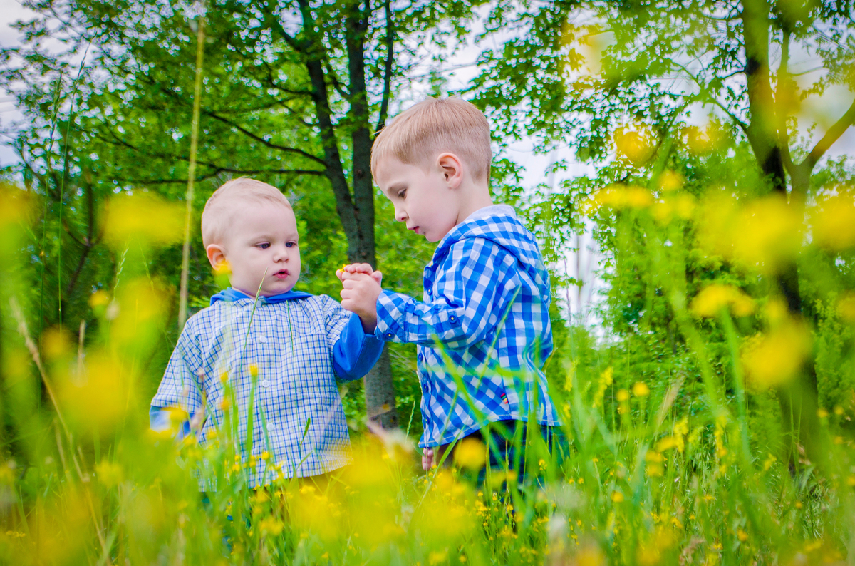 Родные сердца