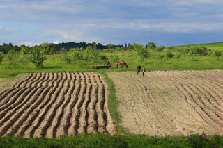 Весняні посадники