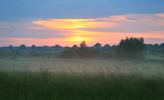 Туман долиною...