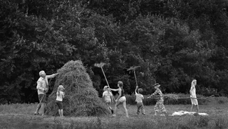 Дружні помічники