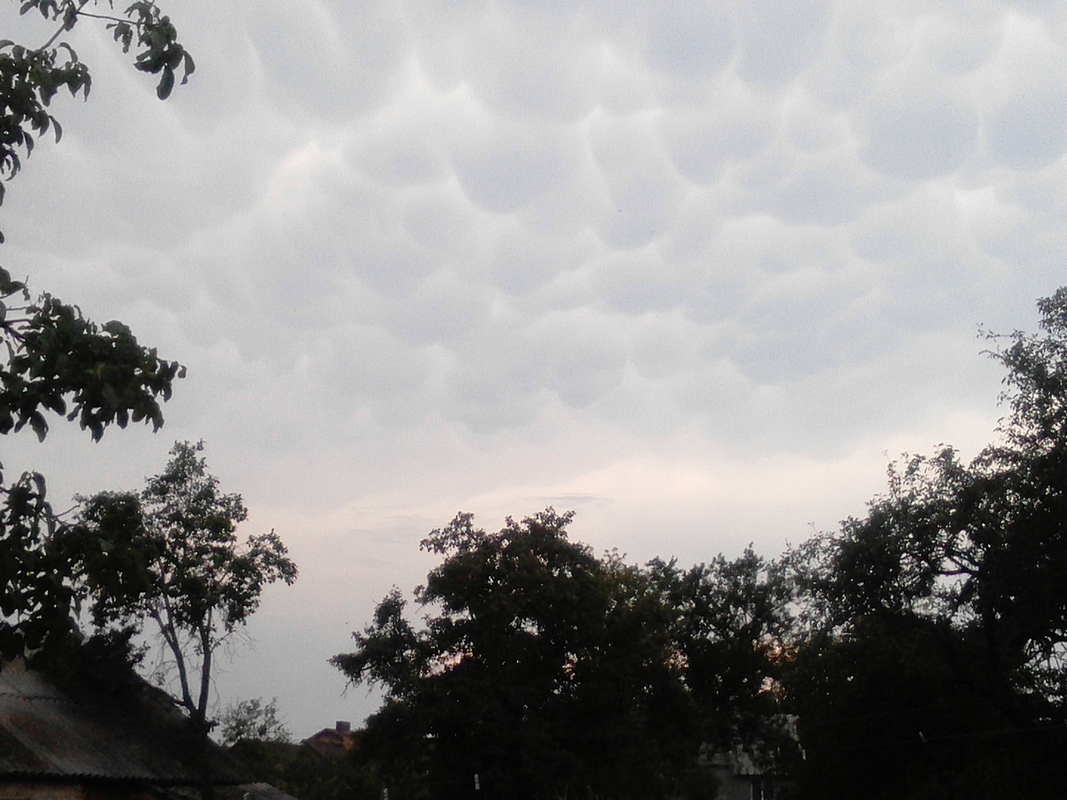 Перед бурею