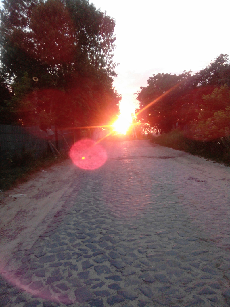 Блиск вечірнього сонця