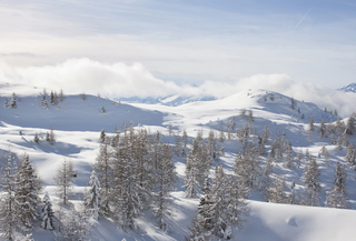 Зимова казка