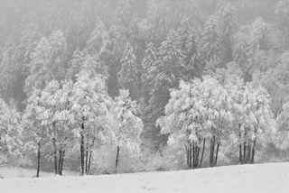 Після снігопаду