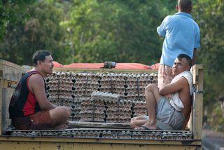 Подорож на яйцях