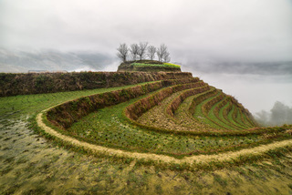 Вишенка на торте