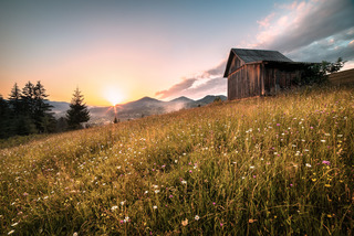 Закат с запахом меда