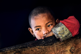 Маленький тибетец
