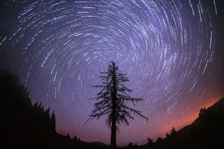 Магия Карпатской ночи