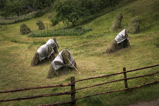Хоровод под дождем