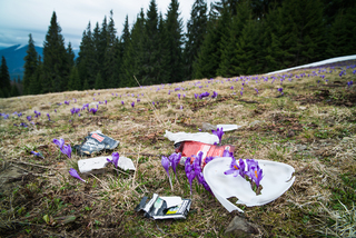 Люблю свой край...