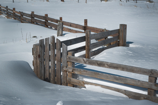 Не беспокоить до Весны