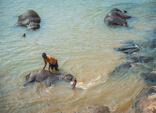 Купание малышей