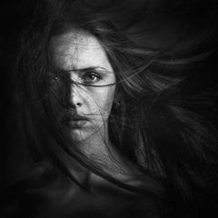 Ветрам на зло