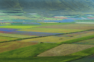Castelluccio 3