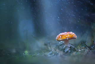 Одиночество