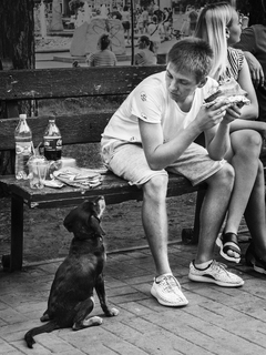 Половинку просим