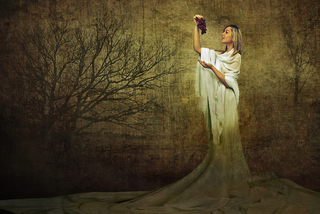 Подружка весны