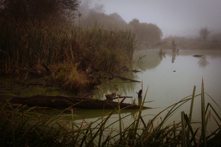 Тут зачаїлася душа