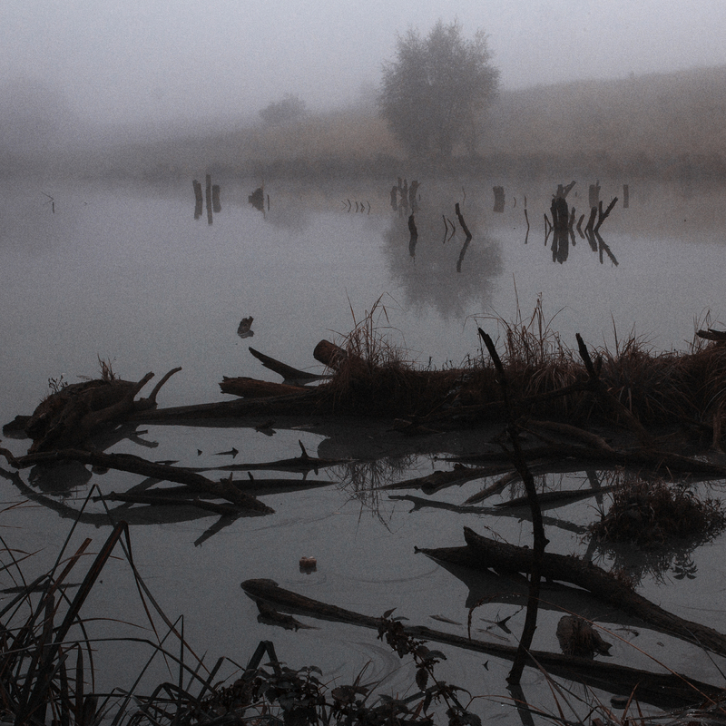 Ой тумане,тумане..