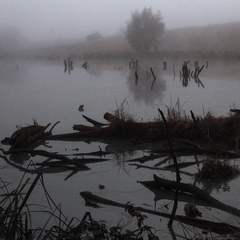 Ой тумане,тумане..