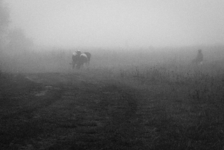 Туманом долиною.