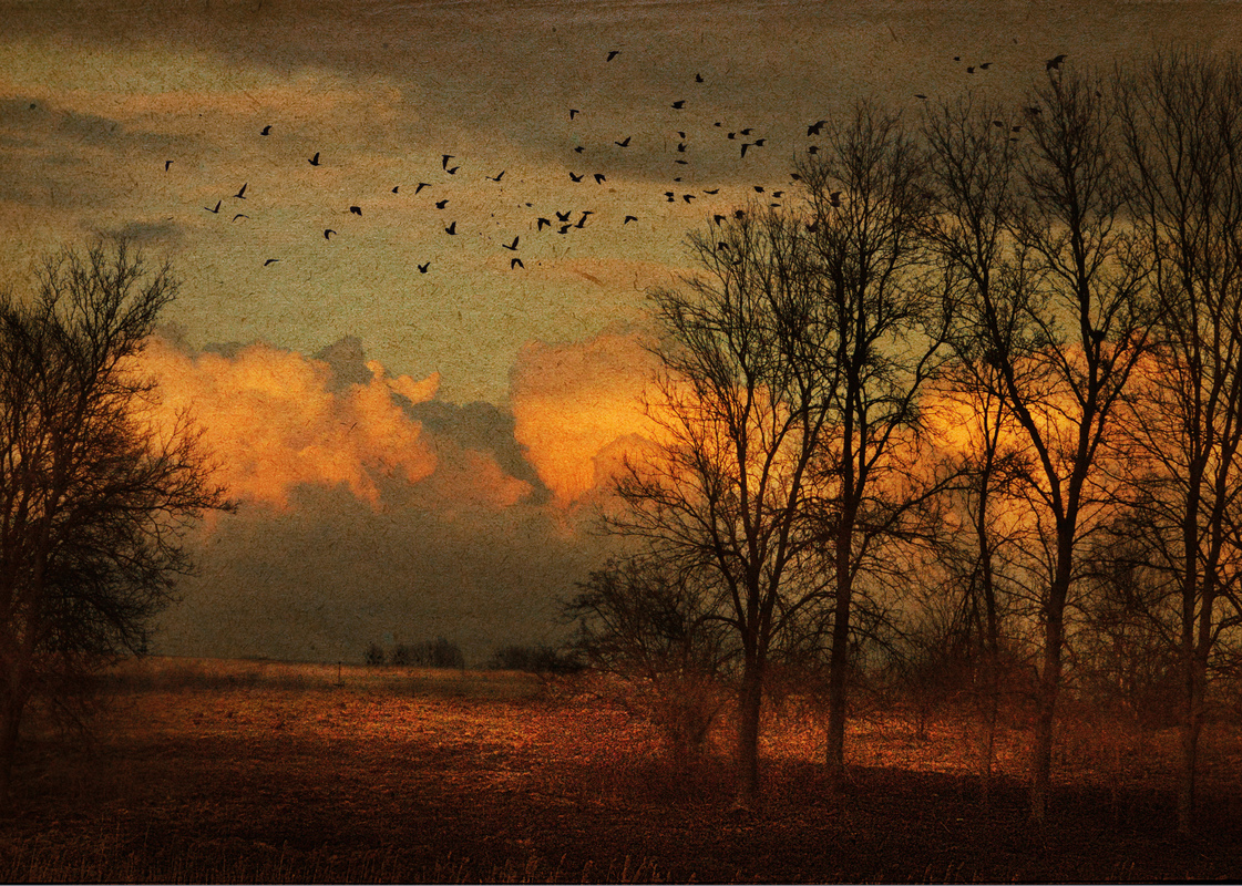 Останні теплі дні