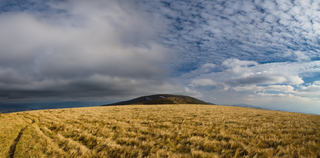 Погляд на Гимбу