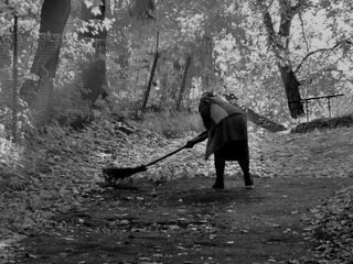 Осінній ранок