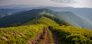 Карпатська дорога...