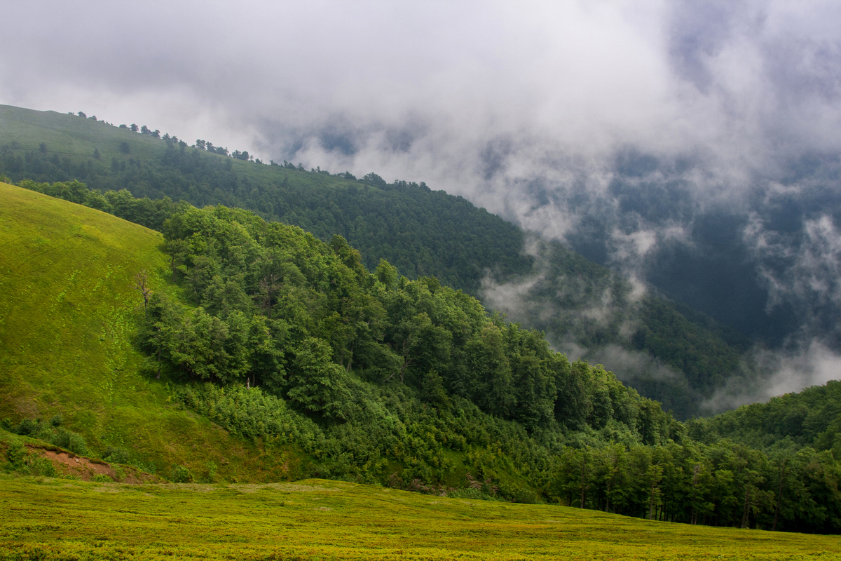Гуляють хмари