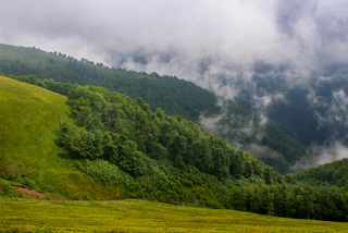 Гуляють хмари