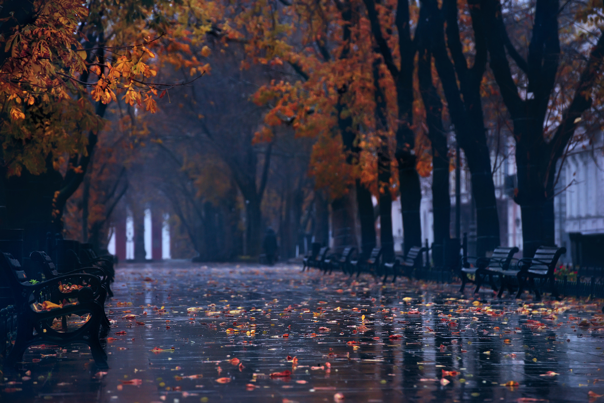 Приморский бульвар