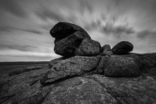 Птах у скелі