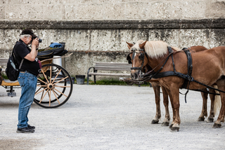 Міський мисливець