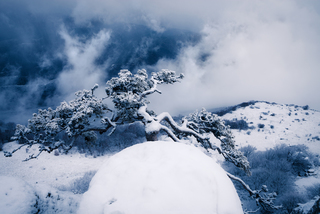 Під покровом зими