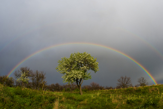 Подвійна веселка