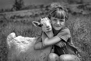 Маленькі друзі