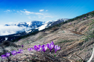 Выше облаков