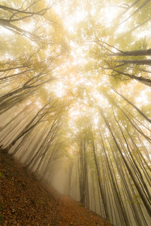 Дорога в небо