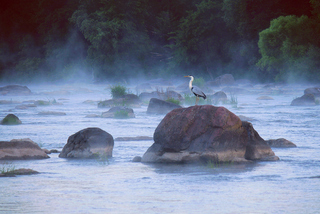 На постаменті.