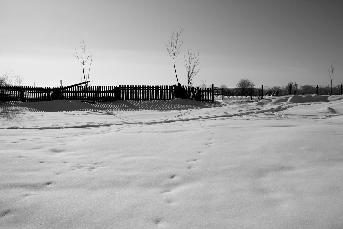 Белое безмолвие